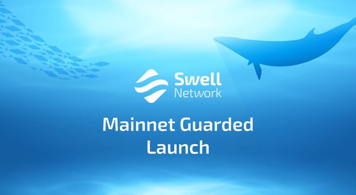 پروژه Swell Network چیست؟