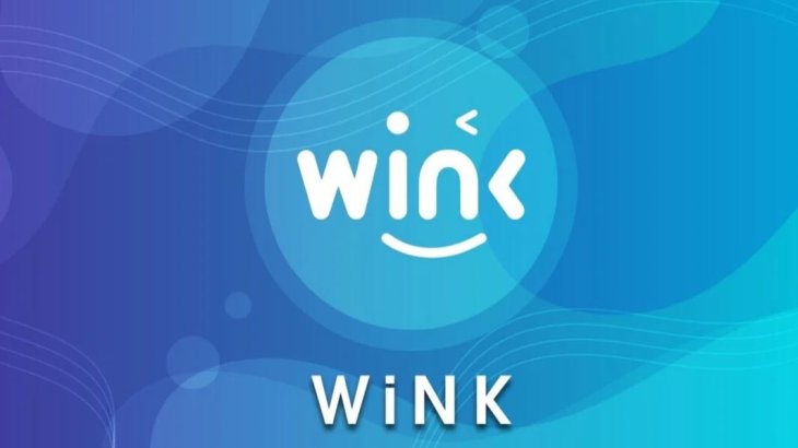 معرفی انواع کیف پول وینک (WIN)