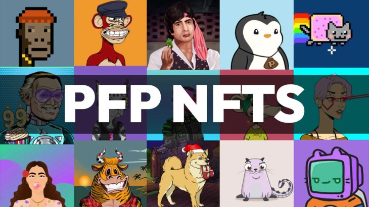 PFP NFT چیست؟