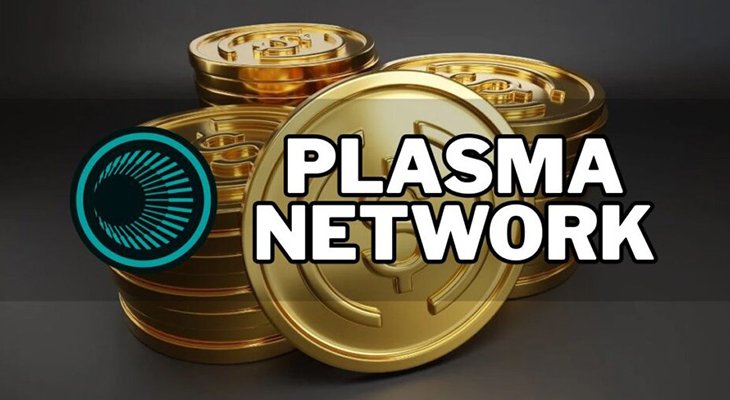 شبکه پلاسما (Plasma)