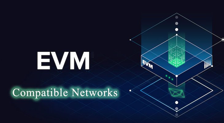 شبکه های سازگار با EVM