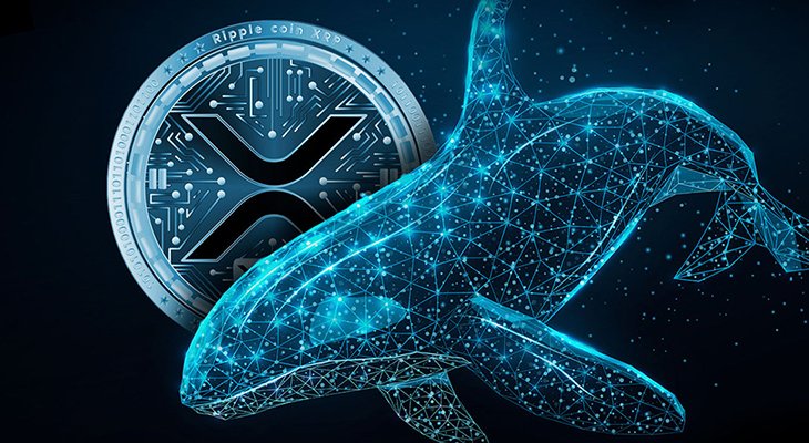 نهنگ های ریپل