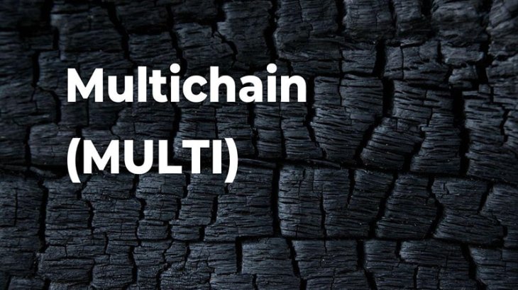 شبکه مولتی چین(Multi chain) چیست؟