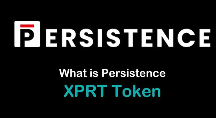 شبکه پرسیستنس (Persistence) چیست؟