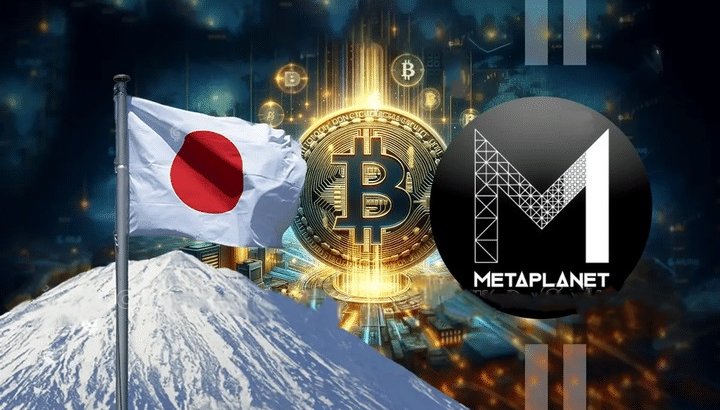 متاپلنت دارایی بیت کوین خود را به 11111 عدد افزایش داد